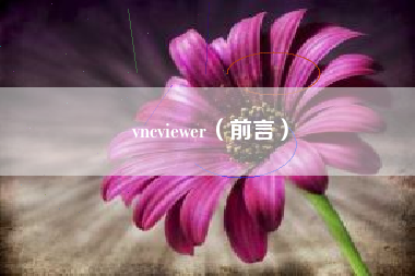 vncviewer（前言）