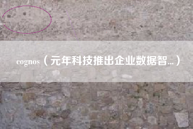cognos（元年科技推出企业数据智...）