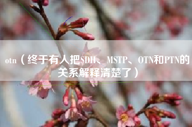 otn（终于有人把SDH、MSTP、OTN和PTN的关系解释清楚了）