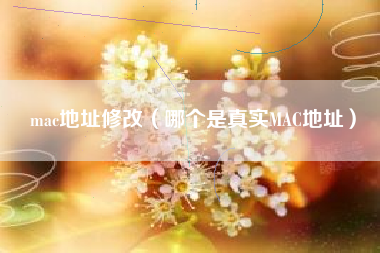 mac地址修改（哪个是真实MAC地址）