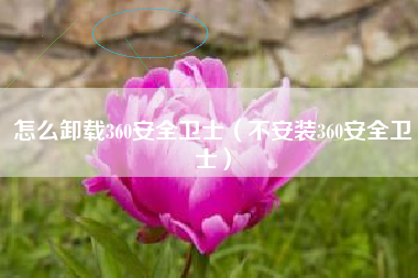 怎么卸载360安全卫士（不安装360安全卫士）