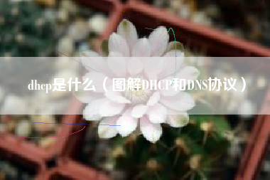 dhcp是什么（图解DHCP和DNS协议）