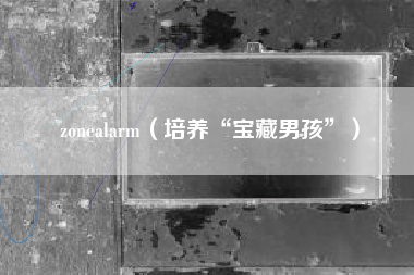 zonealarm（培养“宝藏男孩”）