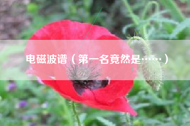 电磁波谱（第一名竟然是……）