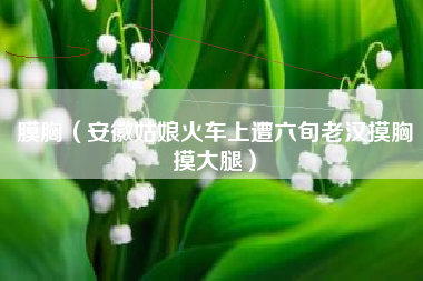 膜胸（安徽姑娘火车上遭六旬老汉摸胸摸大腿）