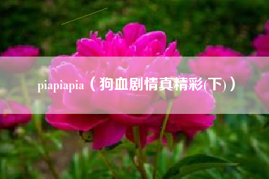 piapiapia（狗血剧情真精彩(下)）