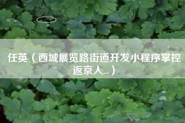 任英（西城展览路街道开发小程序掌控返京人...）