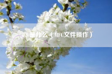 mfc是什么（MFC文件操作）