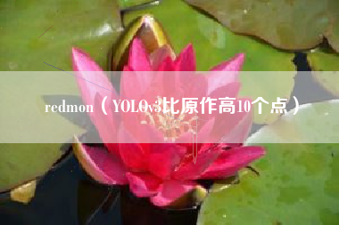 redmon（YOLOv3比原作高10个点）
