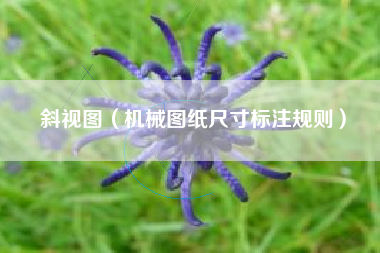 斜视图（机械图纸尺寸标注规则）