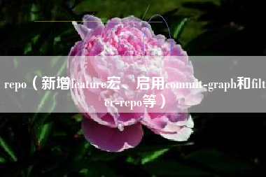 repo（新增feature宏、启用commit-graph和filter-repo等）