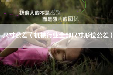 尺寸公差（机械行业全部尺寸形位公差）