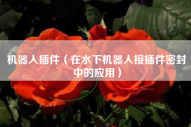 机器人插件（在水下机器人接插件密封中的应用）