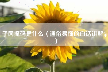 子网掩码是什么（通俗易懂的白话讲解ip）