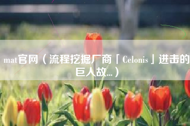 mat官网（流程挖掘厂商「Celonis」进击的巨人故...）