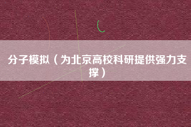 分子模拟（为北京高校科研提供强力支撑）
