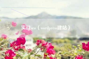 实战seo（wordpress建站）