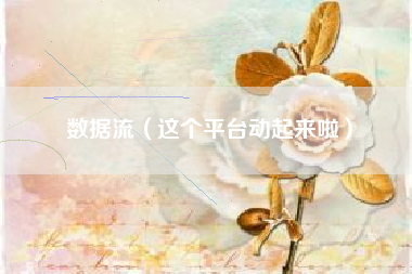 数据流（这个平台动起来啦）