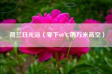 荷兰日光浴（零下60℃的万米高空）