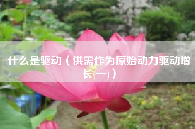 什么是驱动（供需作为原始动力驱动增长(一)）