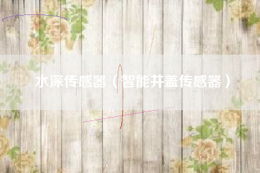 水深传感器（智能井盖传感器）