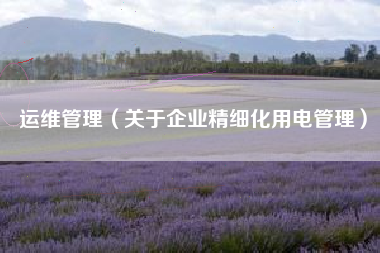 运维管理（关于企业精细化用电管理）