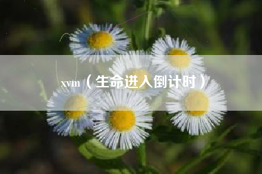 xvm（生命进入倒计时）