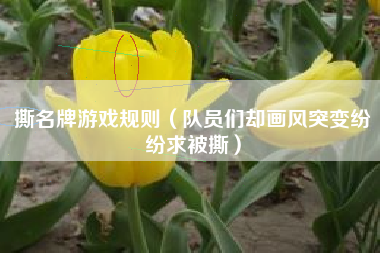 撕名牌游戏规则（队员们却画风突变纷纷求被撕）