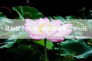 丛台区（2022年11月丛台区房价10102元/㎡）