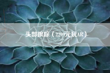 头部跟踪（2299元玩AR）