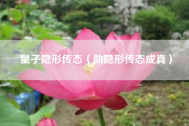 量子隐形传态(助隐形传态成真) 量子隐形传态(助隐形传态成真)