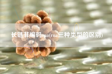 长链非编码rna(rna三种类型的区别)