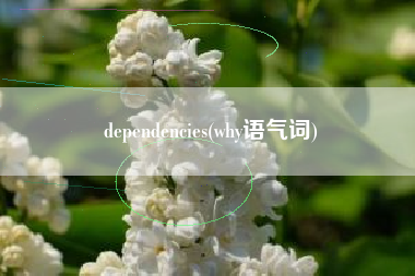dependencies(why语气词)