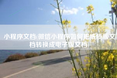 小程序文档(微信小程序如何把纸质版文档转换成电子版文档)