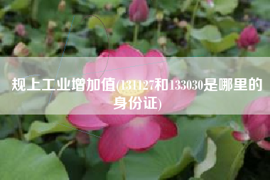 规上工业增加值(131127和133030是哪里的身份证)