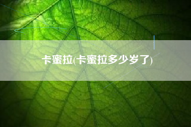 卡蜜拉(卡蜜拉多少岁了)