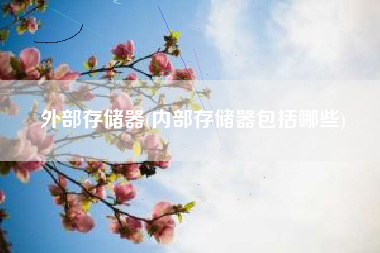 外部存储器(内部存储器包括哪些)