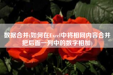 数据合并(如何在Excel中将相同内容合并把后面一列中的数字相加)