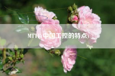 MTTR(中国工控的特点)