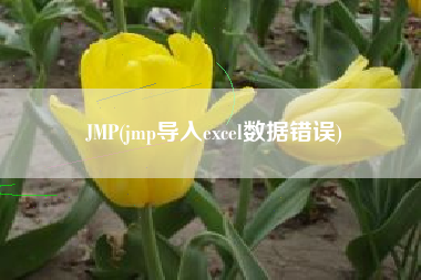JMP(jmp导入excel数据错误)