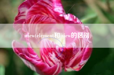 iview(element和iview的区别)