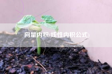 向量内积(线性内积公式)