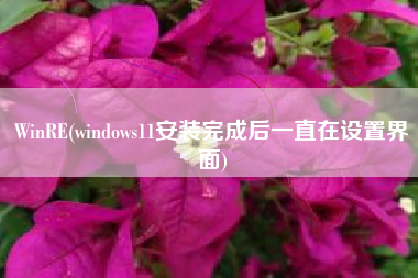 WinRE(windows11安装完成后一直在设置界面) WinRE(windows11安装完成后一直在设置界面)