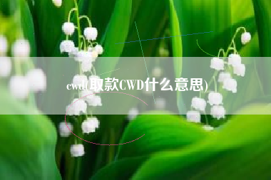 cwd(取款CWD什么意思) cwd(取款CWD什么意思)