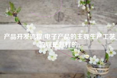 产品开发流程(电子产品的主要生产工艺流程是怎样的)