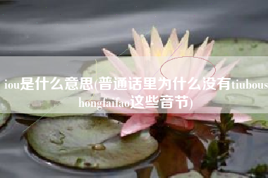 iou是什么意思(普通话里为什么没有tiuboushongfaifao这些音节) iou是什么意思(普通话里为什么没有tiuboushongfaifao这些音节)