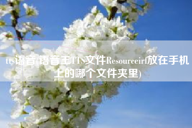 tts语音(语音王TTS文件Resourceirf放在手机上的哪个文件夹里) tts语音(语音王TTS文件Resourceirf放在手机上的哪个文件夹里)