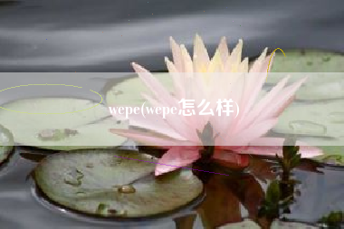wepe(wepe怎么样)