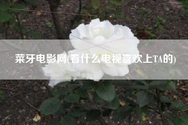 菜牙电影网(看什么电视喜欢上TA的) 菜牙电影网(看什么电视喜欢上TA的)