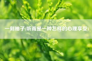 一刻柚子(听雨是一种怎样的心理享受)